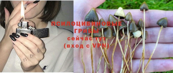 каннабис Абаза